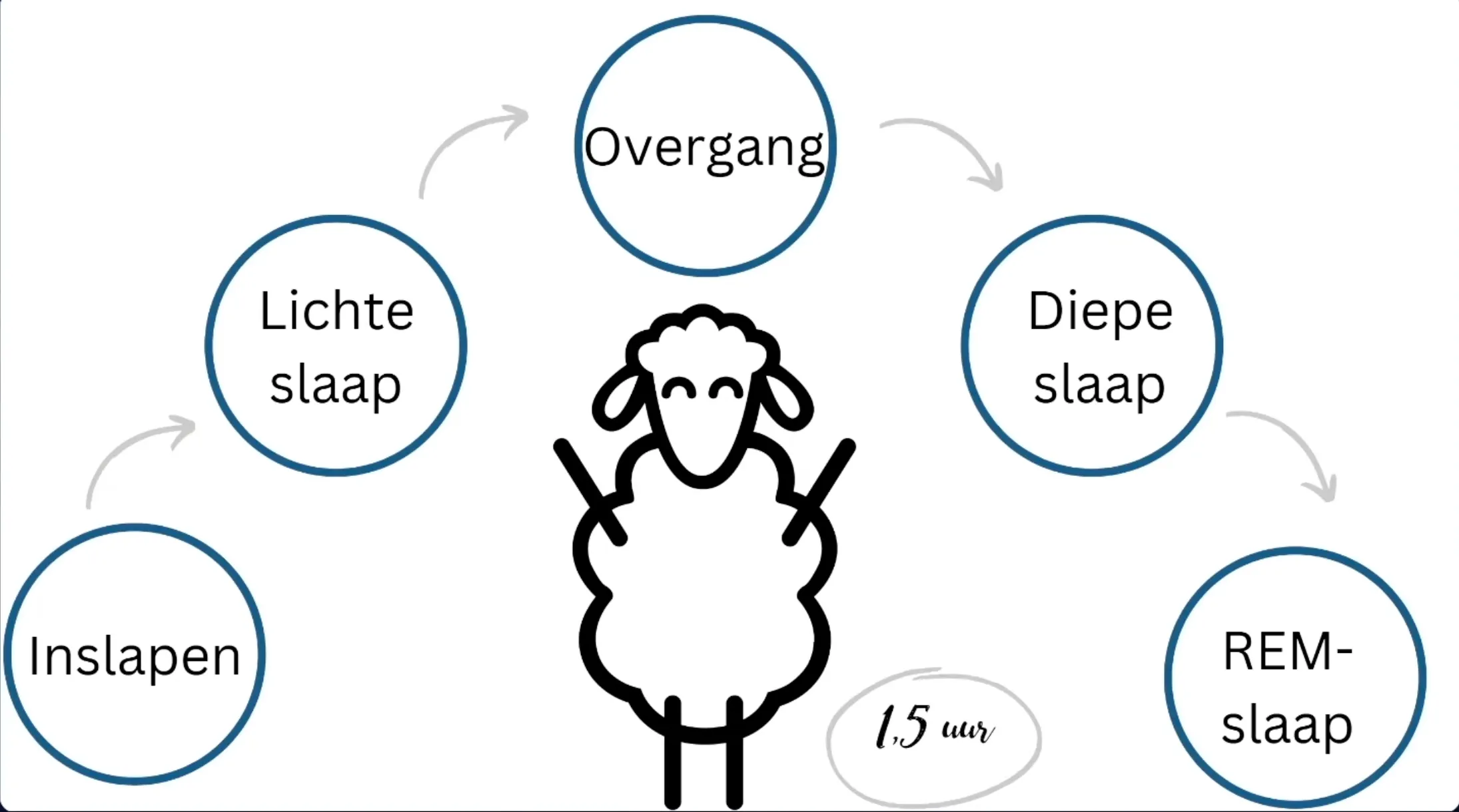 ARTIKEL-ALIESCOSTER_SLAAP afbeelding 1