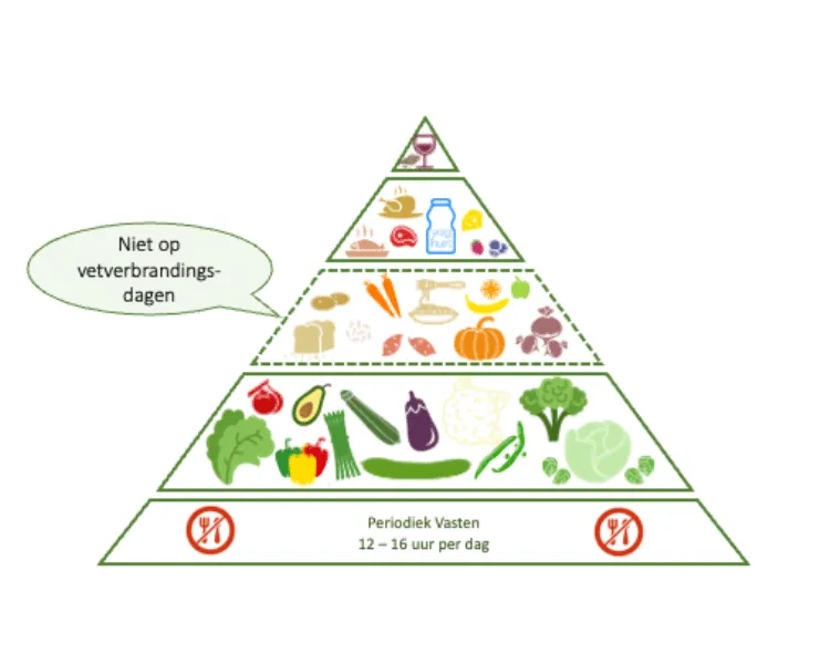 Alzheimer voedselpiramide