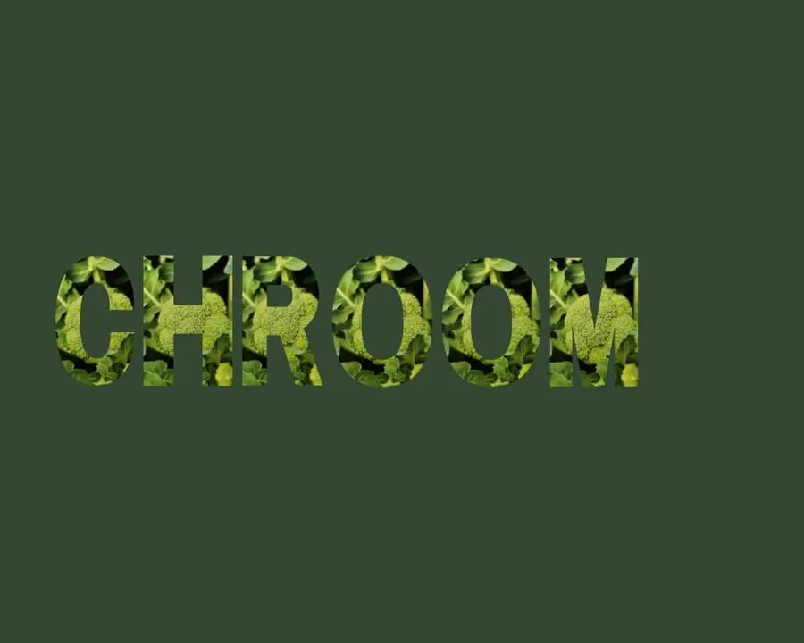 Chroom stichting Je Leefstijl Als Medicijn
