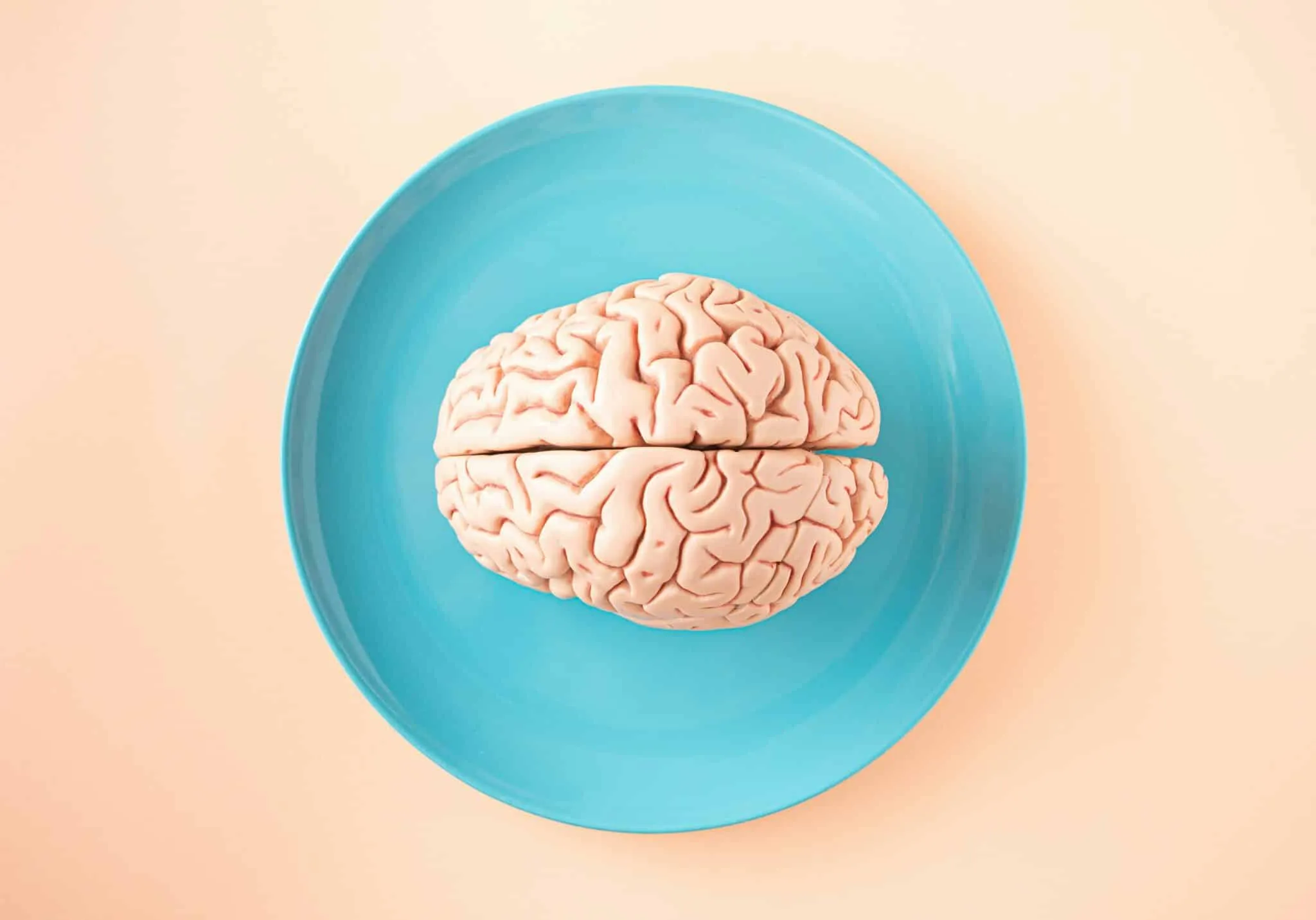 Voedingsaanpassing bij epilepsie: wat kan je verwachten?