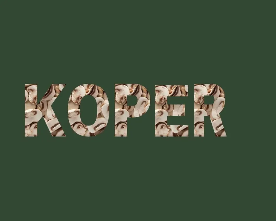 Koper stichting Je Leefstijl Als Medicijn