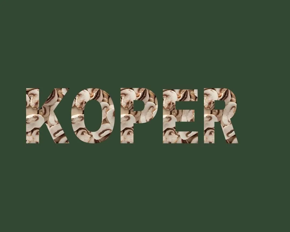 Koper stichting Je Leefstijl Als Medicijn