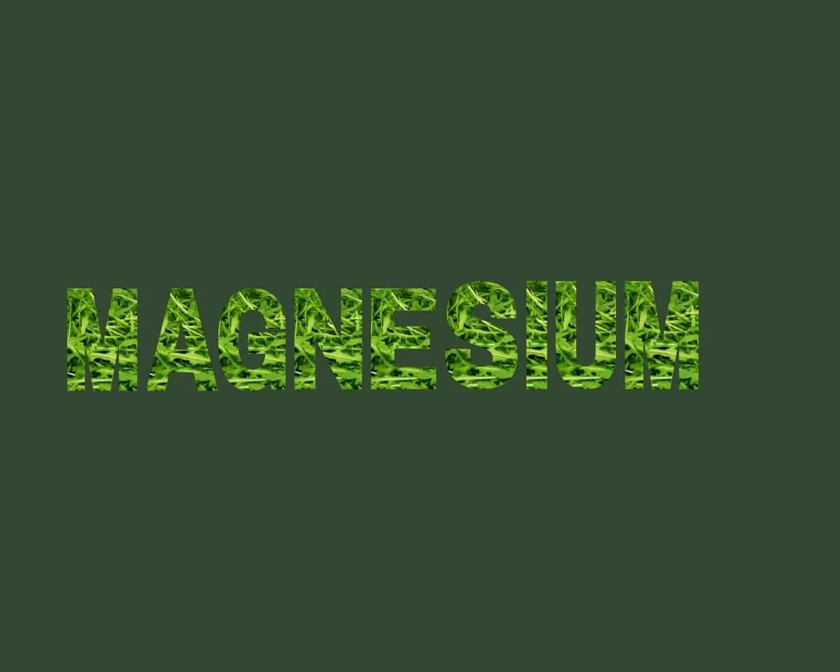 Magnesium Stichting Je Leefstijl Als Medicijn