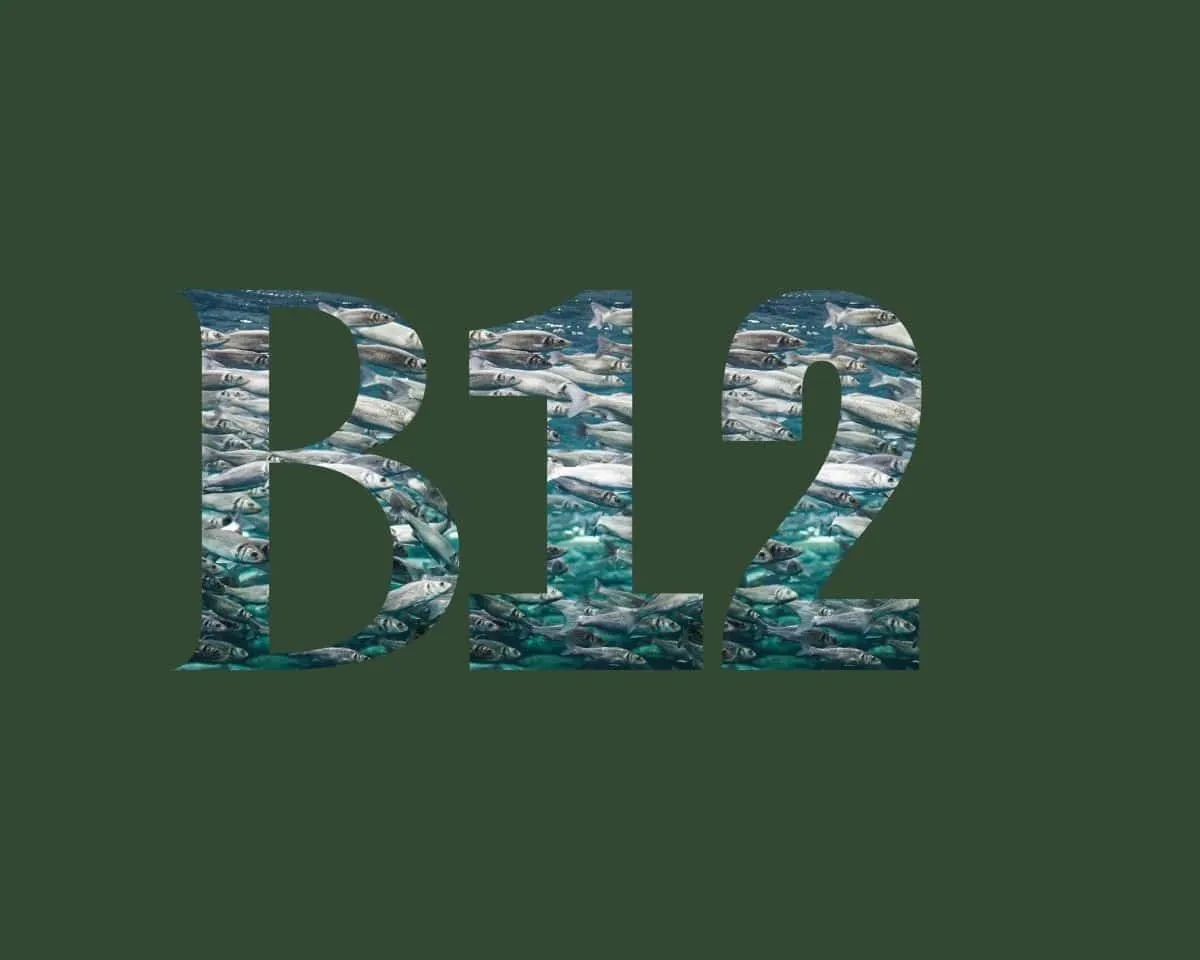 Vitamine B12