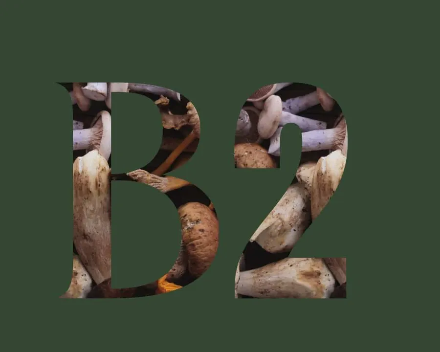 Vitamine B2