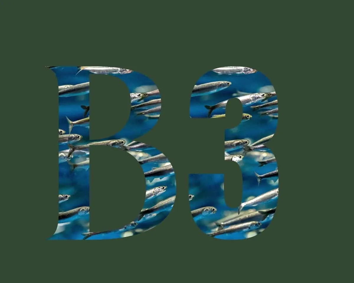 Vitamine B3