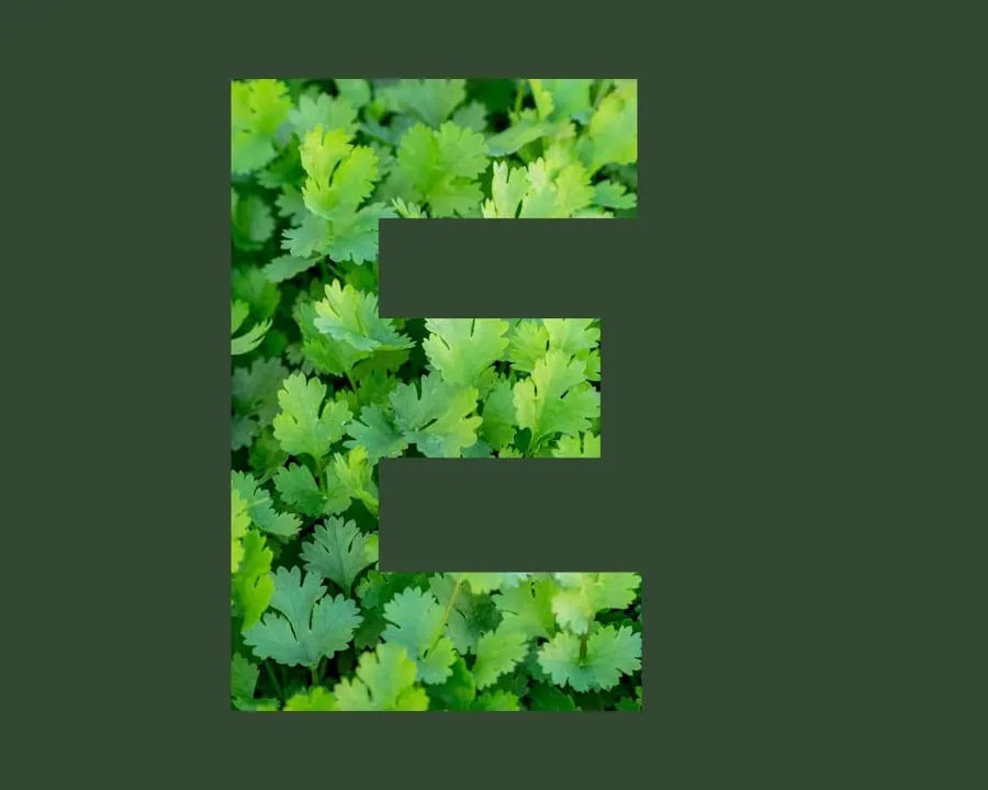 Vitamine E stichting Je Leefstijl Als Medicijn
