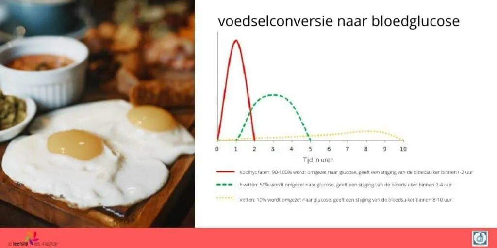 Inline image from Het effect van eiwitten op je bloedsuiker