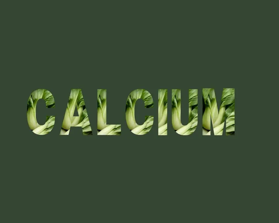 Calcium stichting Je Leefstijl Als Medicijn
