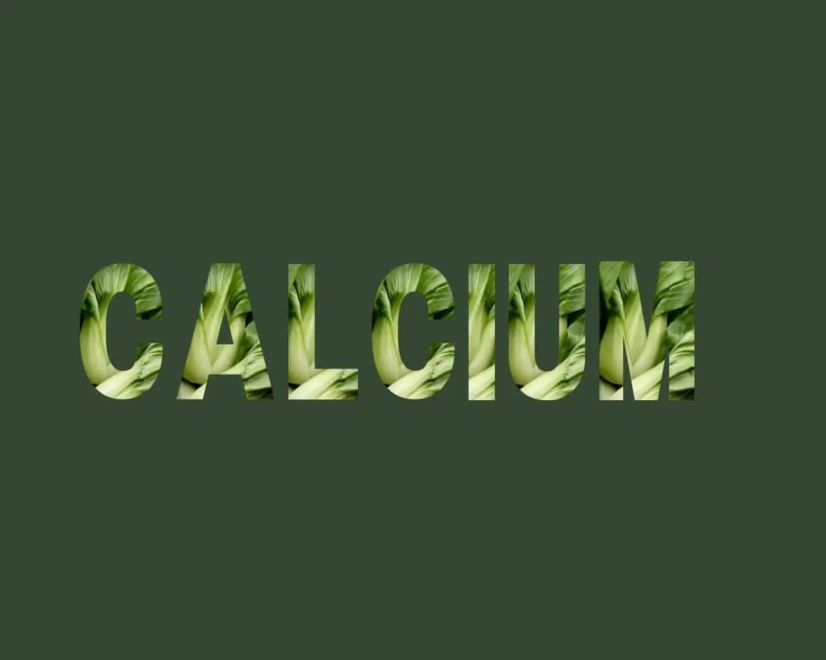 Calcium stichting Je Leefstijl Als Medicijn