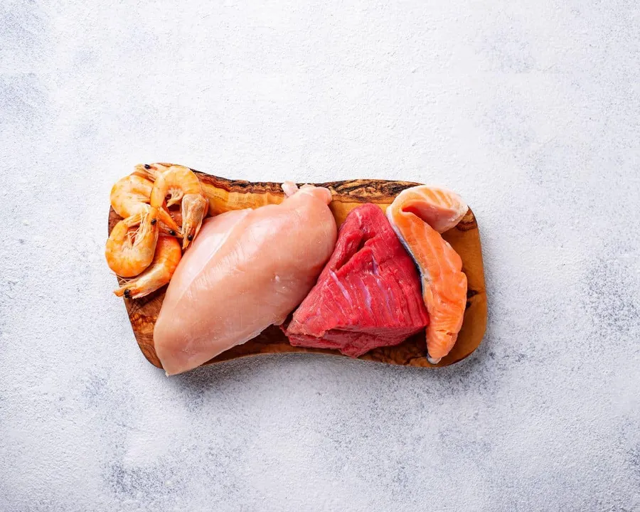 Carnivoor dieet