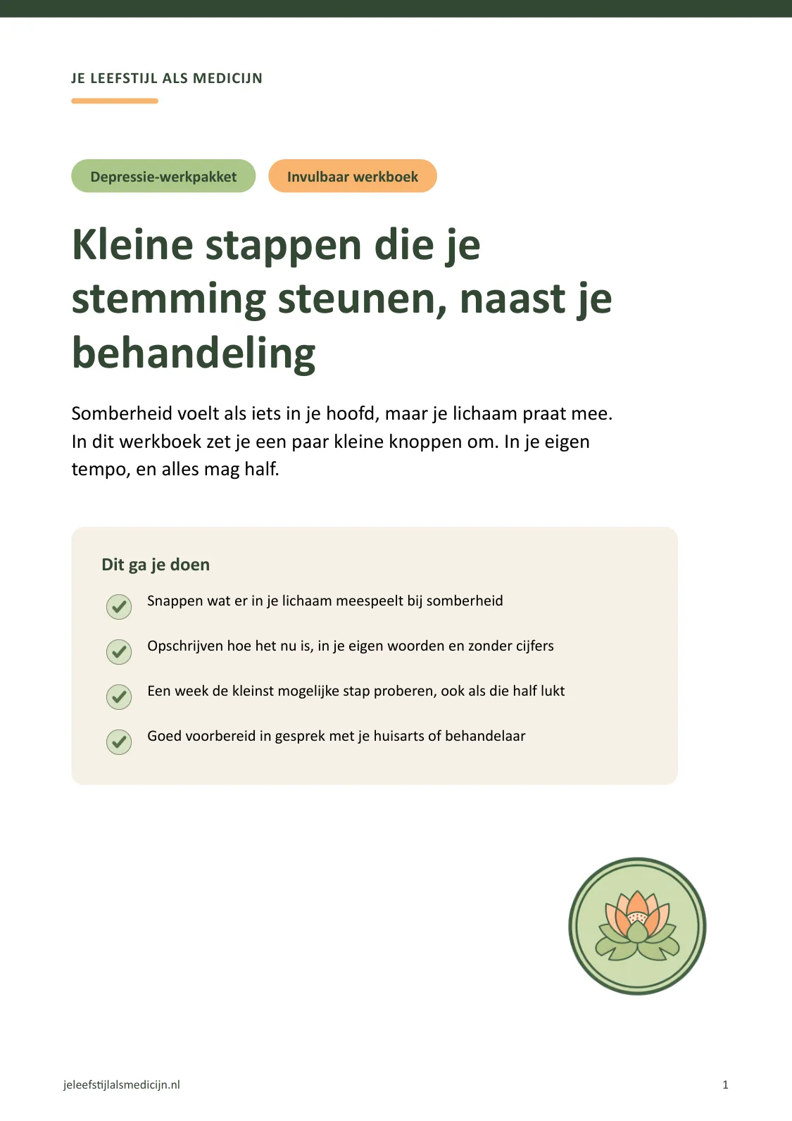 Voorpagina van Werkboek depressie