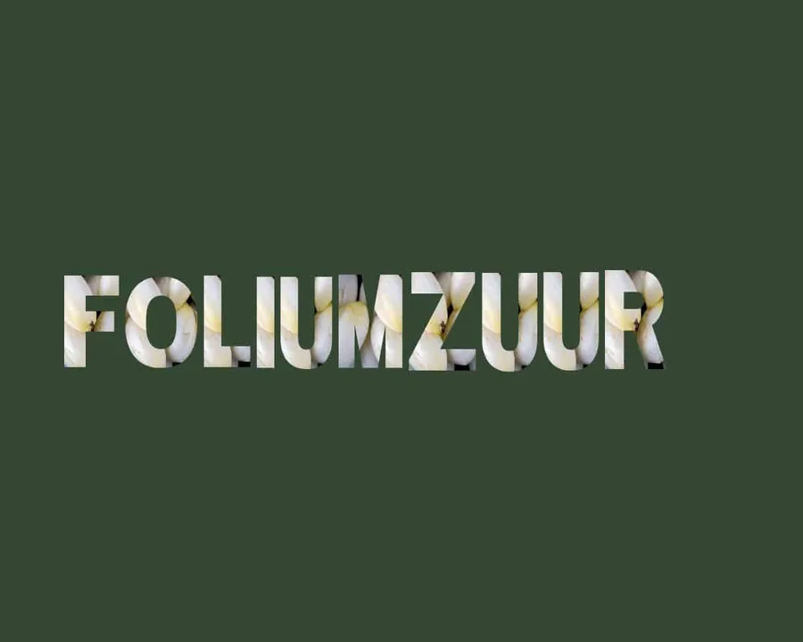 Top 12 foliumzuur rijke voeding stichting Je Leefstijl Als Medicijn