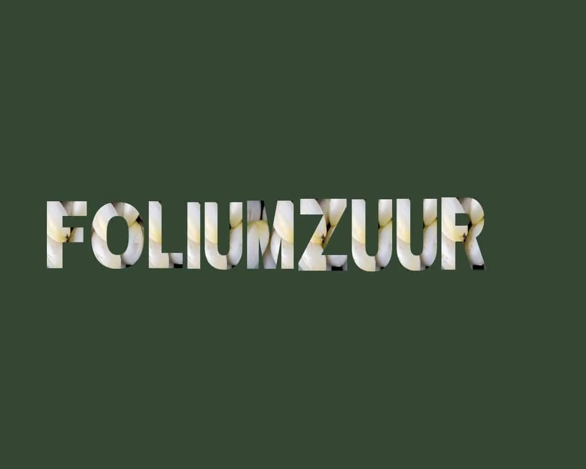 Top 12 foliumzuur rijke voeding stichting Je Leefstijl Als Medicijn
