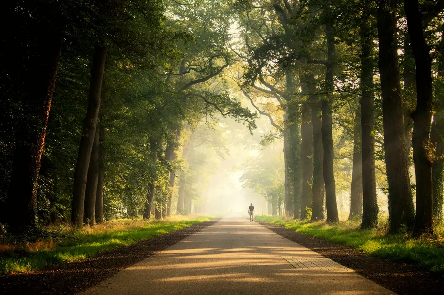Wandelaar op een bospad in ochtendmist, MS en leefstijl
