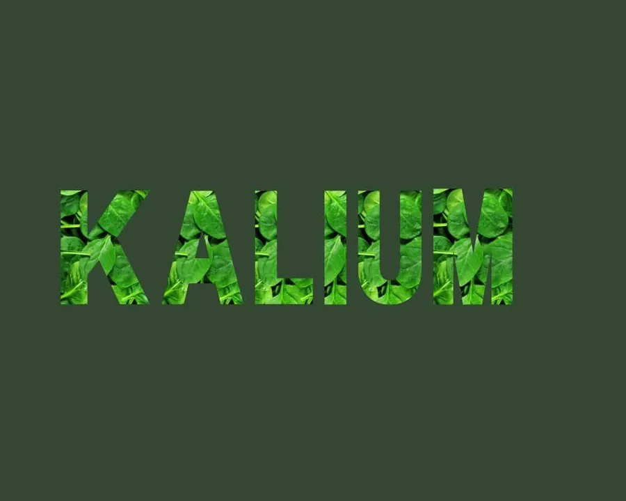 Kalium stichting Je Leefstijl Als Medicijn