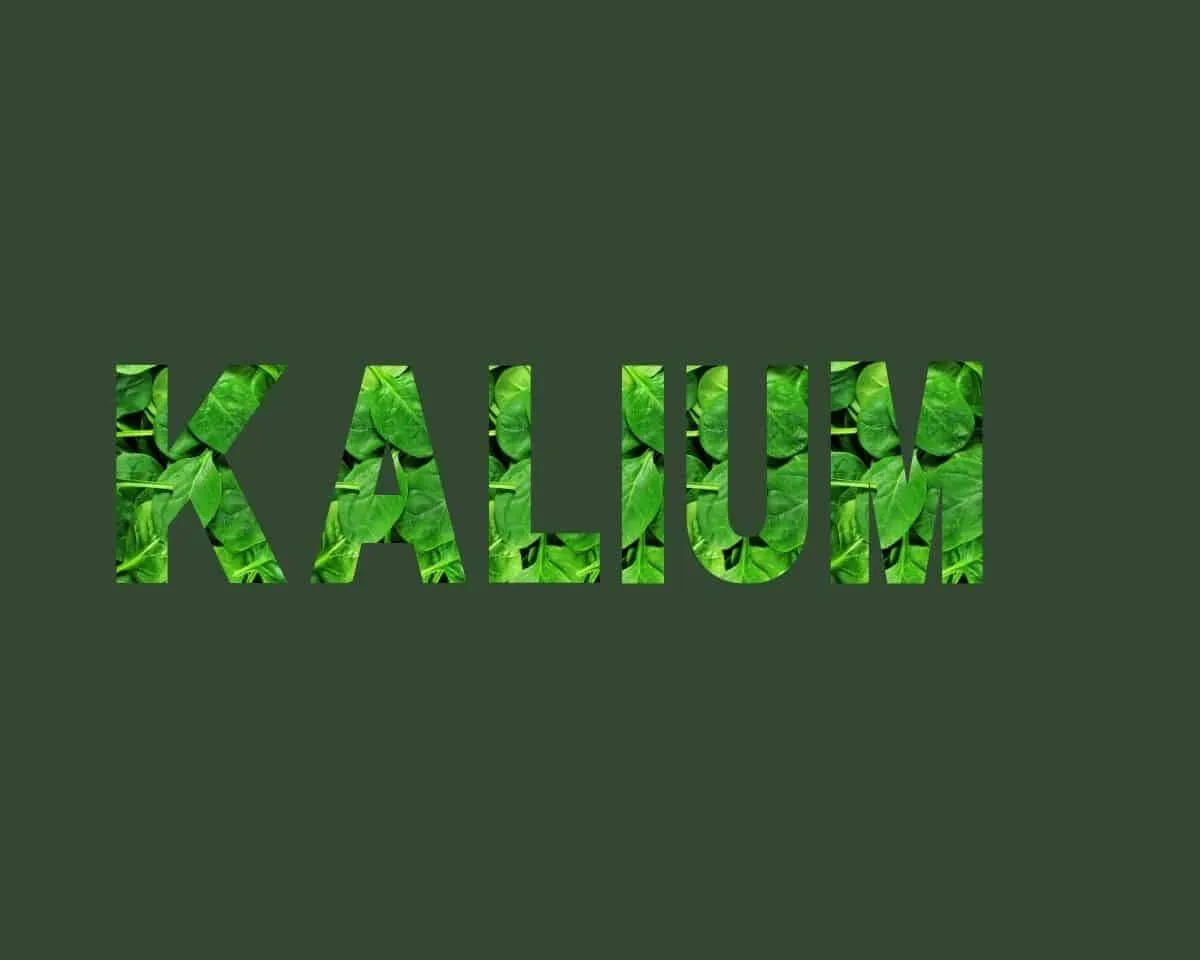 Kalium stichting Je Leefstijl Als Medicijn