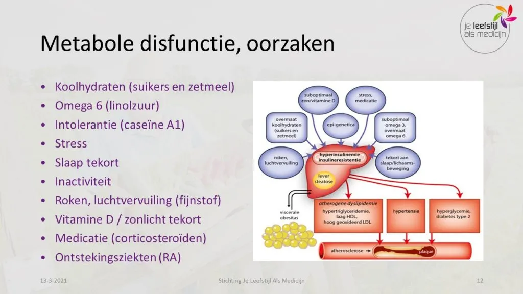 metabole disfunctie oorzaken