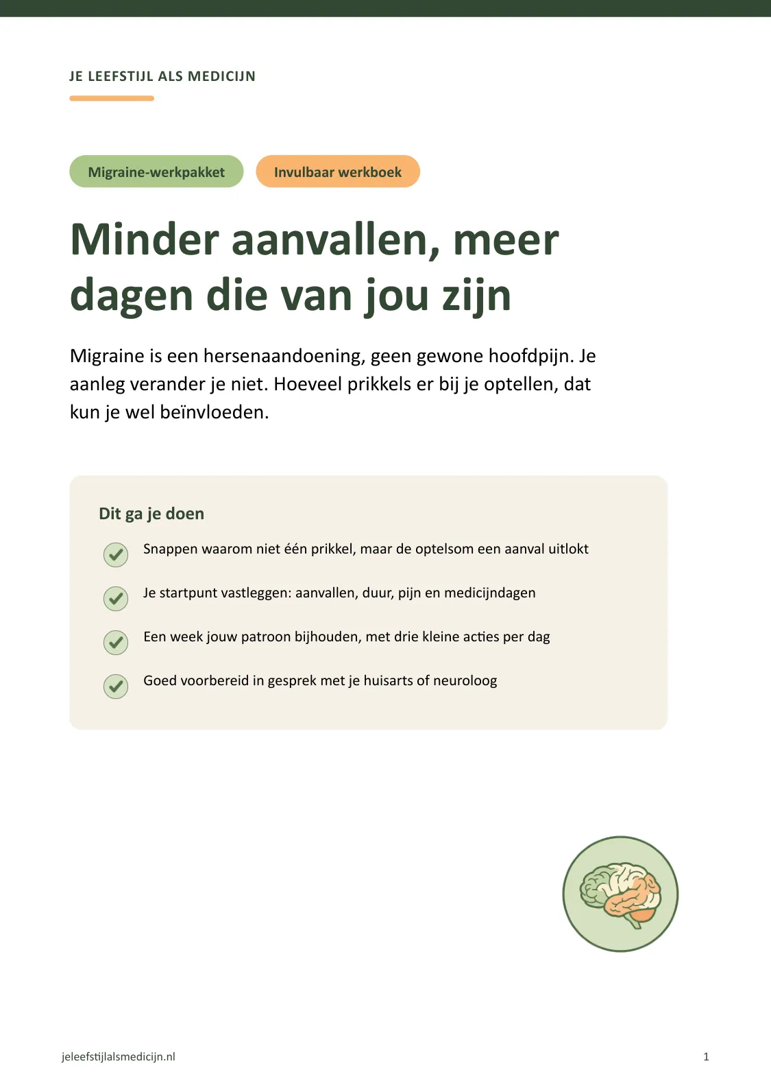 Voorpagina van Werkboek migraine