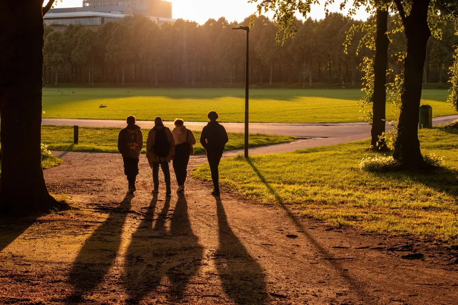Vier mensen wandelen samen door een park in avondlicht