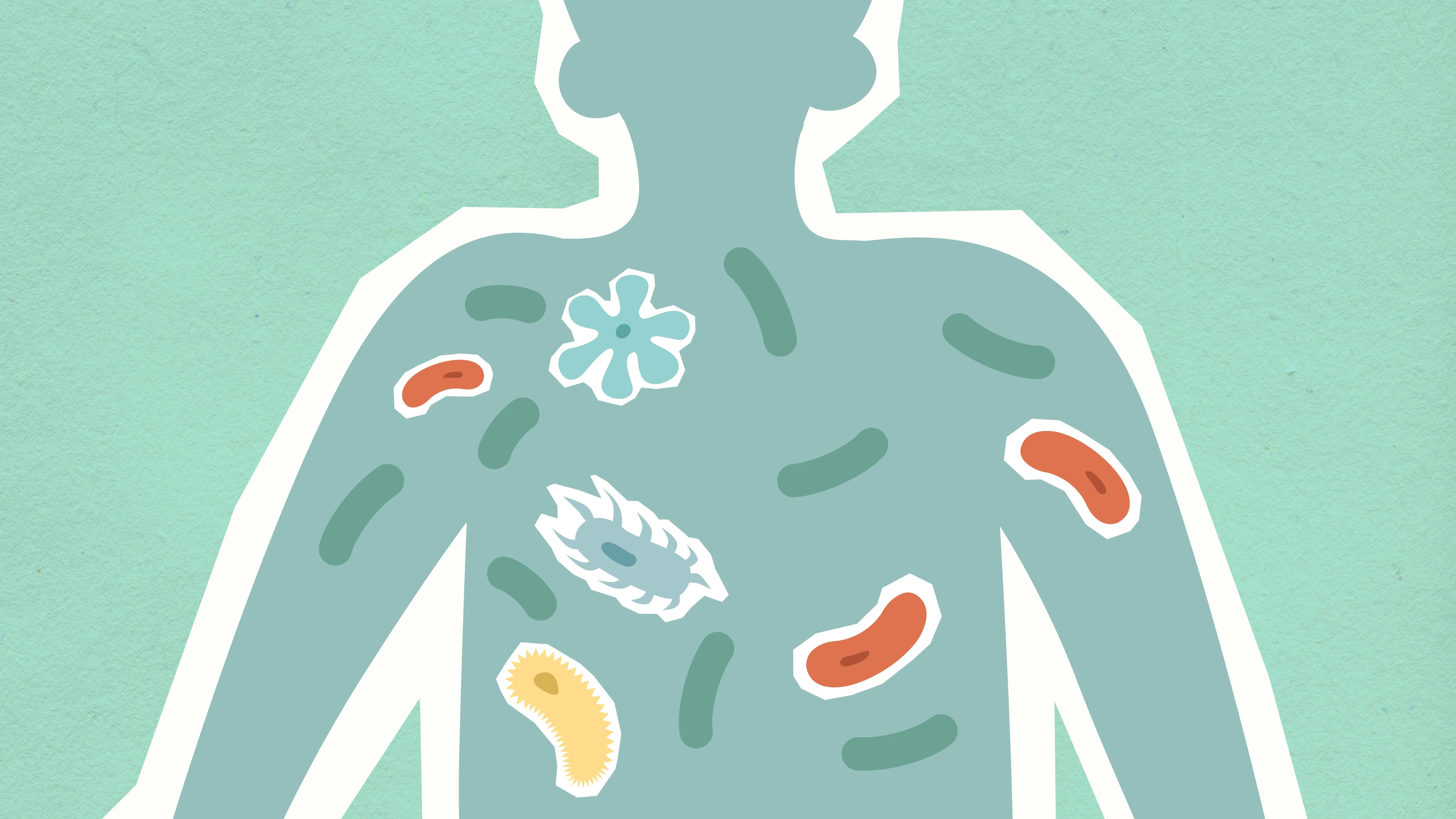 Microbioom en de darm-brein-orgaan-as: hoe darmbacteriën je gezondheid sturen