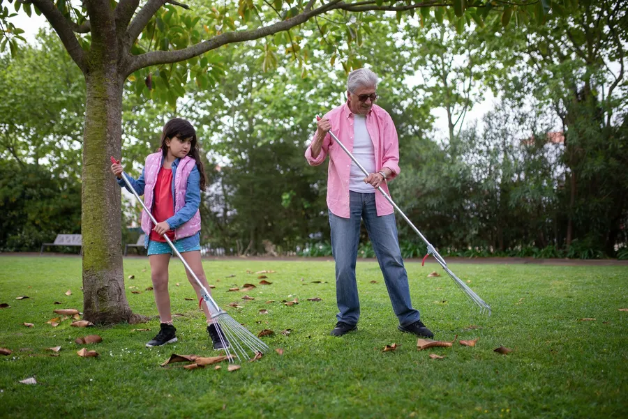 Opa en kleindochter harken samen bladeren in de tuin