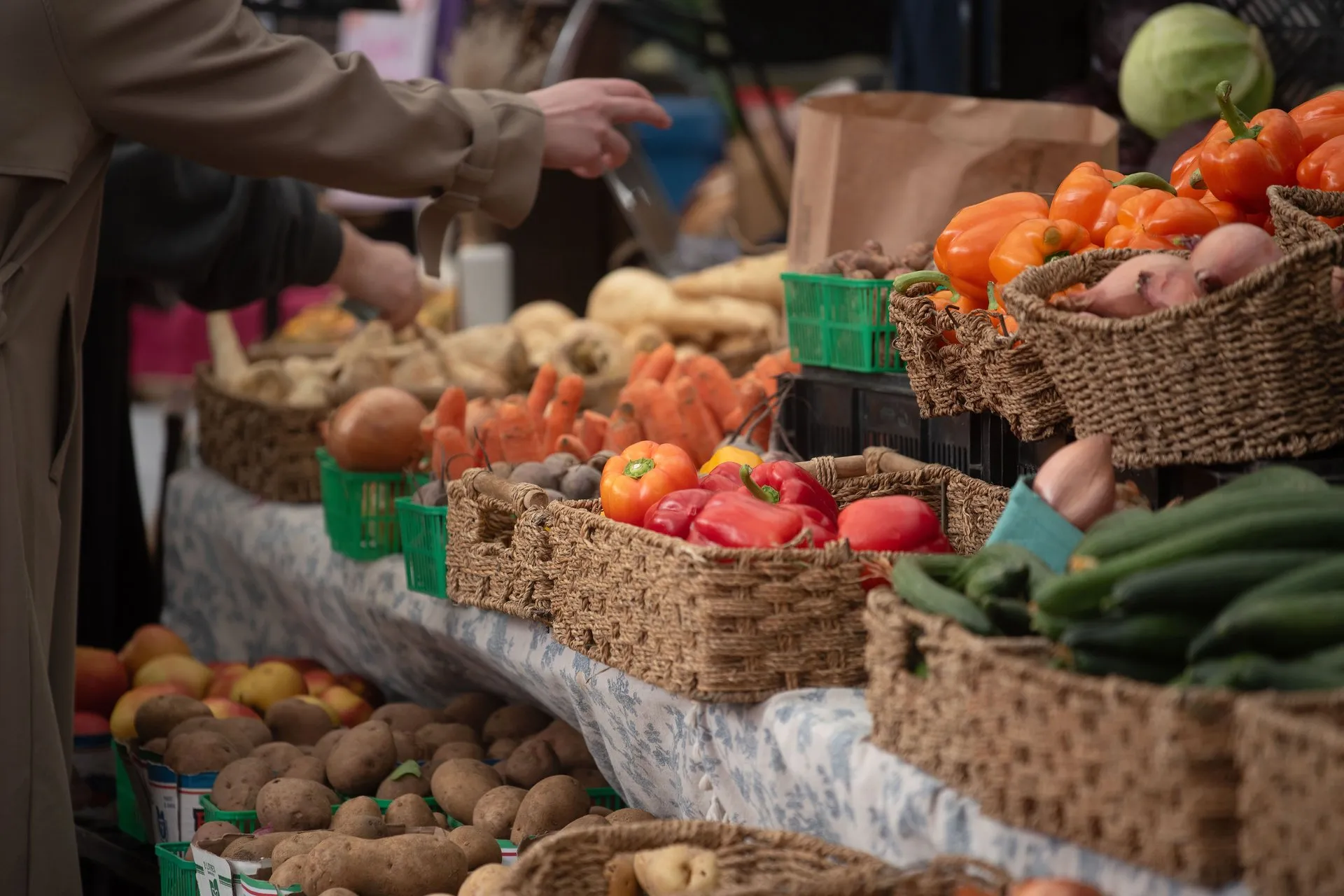 Verschillende verse groenten in manden op een markt