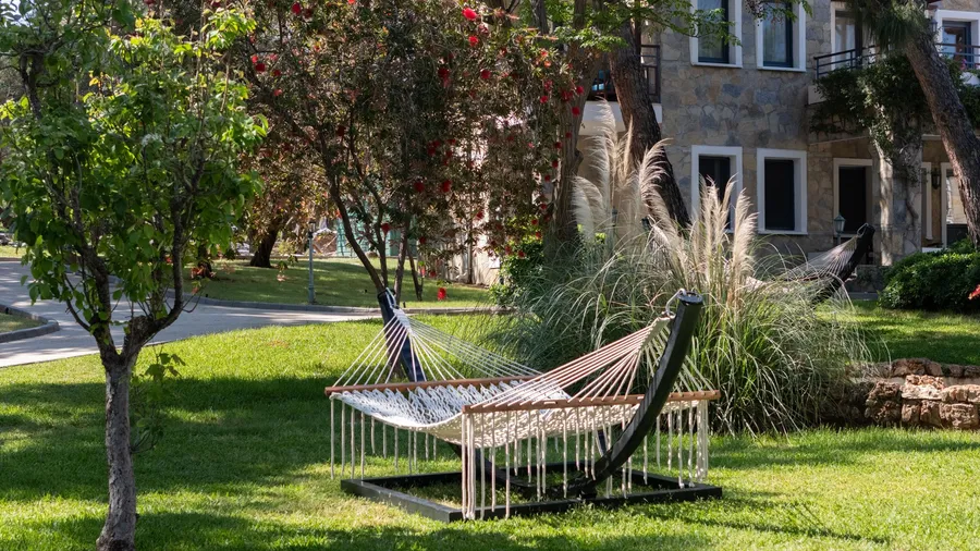 Hangmat hangt in een groene tuin