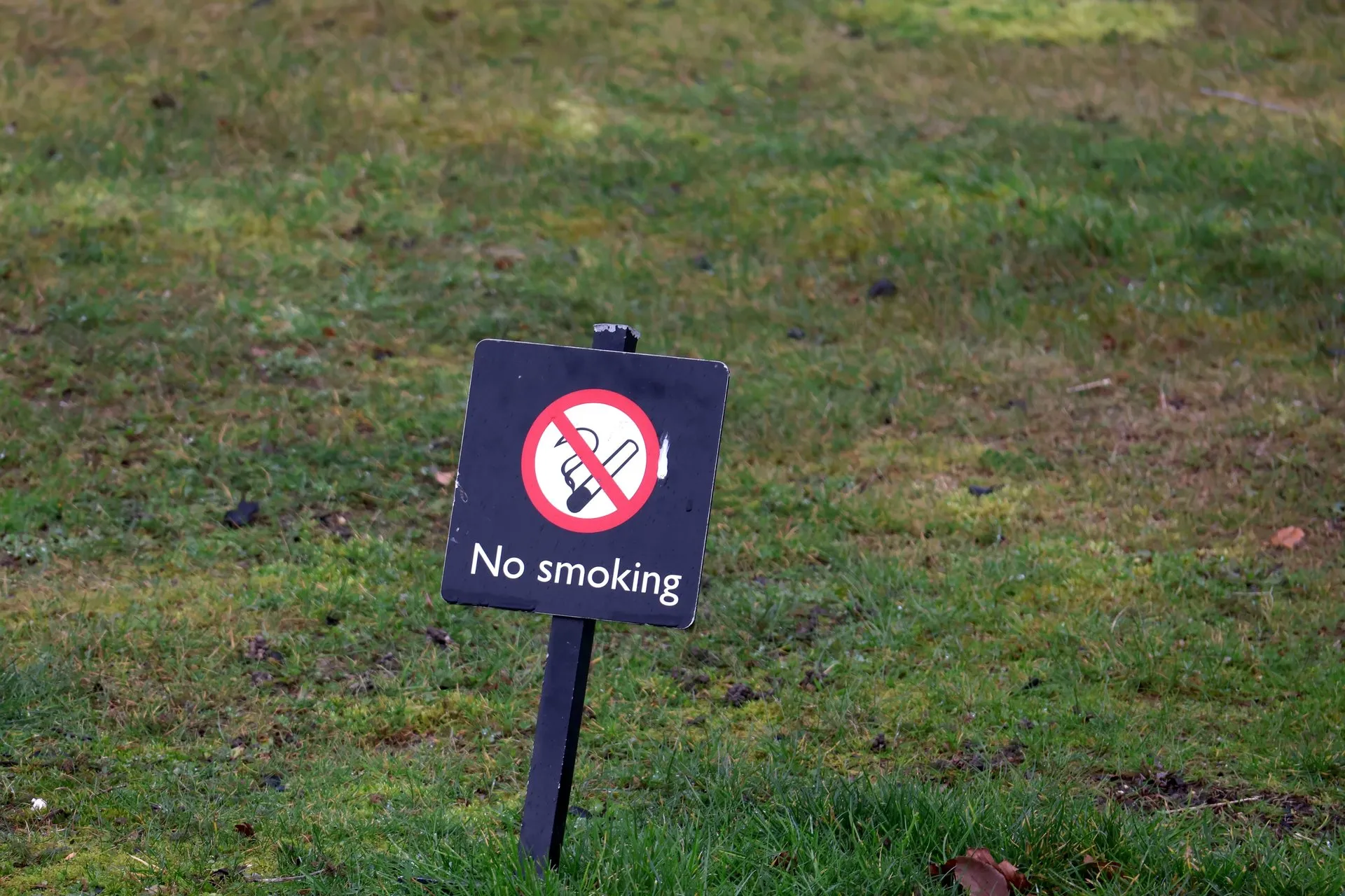 Bord met rookverbod in het gras